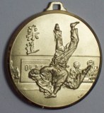 Méd 50 laiton Judo homme