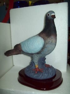 PIGEON 3D