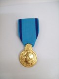 Médaille d'honneur Jeunesse et Sports OR